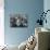 Young Girl Blowing a Bubble with Her Friends Watching-Bob Landry-Mounted Photographic Print displayed on a wall