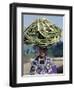 Young Girl Carries Coils of Green 'Rope' to Market Balanced on Her Head-Nigel Pavitt-Framed Photographic Print