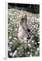 Young Girl in a Field of Flowers Watering Them-Nora Hernandez-Framed Giclee Print