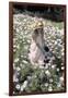 Young Girl in a Field of Flowers Watering Them-Nora Hernandez-Framed Giclee Print