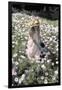 Young Girl in a Field of Flowers Watering Them-Nora Hernandez-Framed Giclee Print