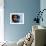 Young Girl in Characteristic Saharan Blue Headscarf Looking into Distance, Sahara, Southern Morocco-Mark Hannaford-Framed Photographic Print displayed on a wall