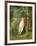 Young Girl in the Wood, 1874-Vladimir Egorovic Makovsky-Framed Giclee Print