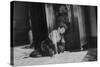 Young Girl Listens to the Radio While Reading Paper, Ca. 1930-null-Stretched Canvas