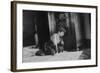 Young Girl Listens to the Radio While Reading Paper, Ca. 1930-null-Framed Photographic Print