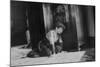 Young Girl Listens to the Radio While Reading Paper, Ca. 1930-null-Mounted Photographic Print