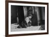 Young Girl Listens to the Radio While Reading Paper, Ca. 1930-null-Framed Photographic Print