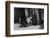 Young Girl Listens to the Radio While Reading Paper, Ca. 1930-null-Framed Photographic Print