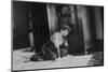 Young Girl Listens to the Radio While Reading Paper, Ca. 1930-null-Mounted Photographic Print