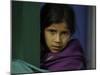 Young Girl's Face, Nepal-David D'angelo-Mounted Premium Photographic Print