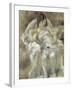 Young Girl Seated with Flowers-Jules Pascin-Framed Giclee Print