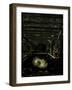 Young Girl Sleeping-Tim Kahane-Framed Photographic Print