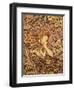 Young Girl with Flowers, 1900-Alphonse Mucha-Framed Giclee Print