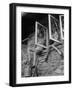 Young Girls Cleaning Windows During a Party to Repair a Country Home-Nina Leen-Framed Photographic Print