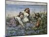 Young Girls in a Field of Cornflowers-Edward Atkinson Hornel-Mounted Giclee Print