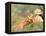 Young Girls on the River Bank-Pierre-Auguste Renoir-Framed Stretched Canvas