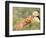 Young Girls on the River Bank-Pierre-Auguste Renoir-Framed Premium Giclee Print