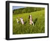 Young girls running in field, Sabins Pasture, Montpelier, Vermont, USA-Jerry & Marcy Monkman-Framed Photographic Print