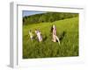 Young girls running in field, Sabins Pasture, Montpelier, Vermont, USA-Jerry & Marcy Monkman-Framed Photographic Print