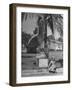 Young Girls Selling Lemonade from a Sidewalk Stand-Nina Leen-Framed Photographic Print