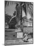 Young Girls Selling Lemonade from a Sidewalk Stand-Nina Leen-Mounted Photographic Print