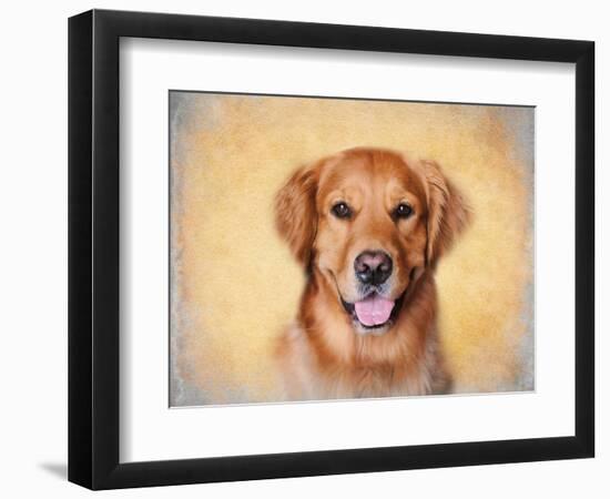 Young Golden Retriever Portrait-Jai Johnson-Framed Premium Giclee Print