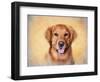 Young Golden Retriever Portrait-Jai Johnson-Framed Premium Giclee Print