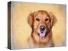 Young Golden Retriever Portrait-Jai Johnson-Stretched Canvas