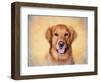 Young Golden Retriever Portrait-Jai Johnson-Framed Giclee Print