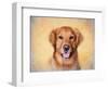 Young Golden Retriever Portrait-Jai Johnson-Framed Giclee Print