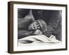 Young Gorilla 'John David' Aged 5 Years Being Held by a Keeper on a Blanket at London Zoo-Frederick William Bond-Framed Photographic Print