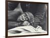 Young Gorilla 'John David' Aged 5 Years Being Held by a Keeper on a Blanket at London Zoo-Frederick William Bond-Framed Photographic Print