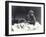 Young Gorilla 'John David'-Frederick William Bond-Framed Photographic Print