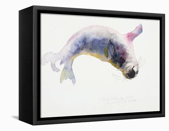 Young Grey Seal, Gweek, 2003-Mark Adlington-Framed Stretched Canvas
