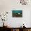 Young Grey Seal (Halichoerus Grypus) Resting on a Bed of Seaweed, Inner Hebrides, Scotland, UK-Alex Mustard-Photographic Print displayed on a wall