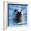 Young Grey Seal, Westcove,-Eric Meyer-Framed Photographic Print