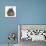Young Grey Squirrel Climbing on Agouti Rabbit-Mark Taylor-Stretched Canvas displayed on a wall