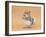 Young Grey Squirrel (Sciurus Carolinensis) Domesticated, Eating a Hazelnut-Mark Taylor-Framed Photographic Print