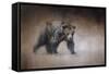 Young Grizzly Bear-Jai Johnson-Framed Stretched Canvas