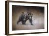 Young Grizzly Bear-Jai Johnson-Framed Premium Giclee Print