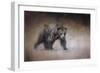 Young Grizzly Bear-Jai Johnson-Framed Premium Giclee Print