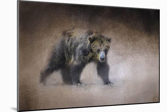 Young Grizzly Bear-Jai Johnson-Mounted Premium Giclee Print