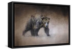 Young Grizzly Bear-Jai Johnson-Framed Stretched Canvas