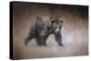 Young Grizzly Bear-Jai Johnson-Stretched Canvas