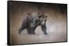 Young Grizzly Bear-Jai Johnson-Framed Stretched Canvas