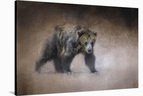 Young Grizzly Bear-Jai Johnson-Stretched Canvas