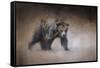 Young Grizzly Bear-Jai Johnson-Framed Stretched Canvas