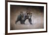 Young Grizzly Bear-Jai Johnson-Framed Giclee Print