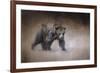 Young Grizzly Bear-Jai Johnson-Framed Giclee Print