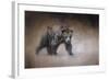 Young Grizzly Bear-Jai Johnson-Framed Giclee Print